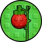 GIANT TOMATO